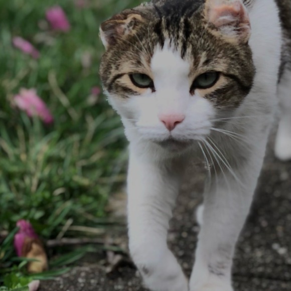 Meet your Posher, Melissa - Picture 11 of 16